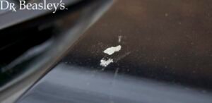 How to Wash And Dry a Black Car