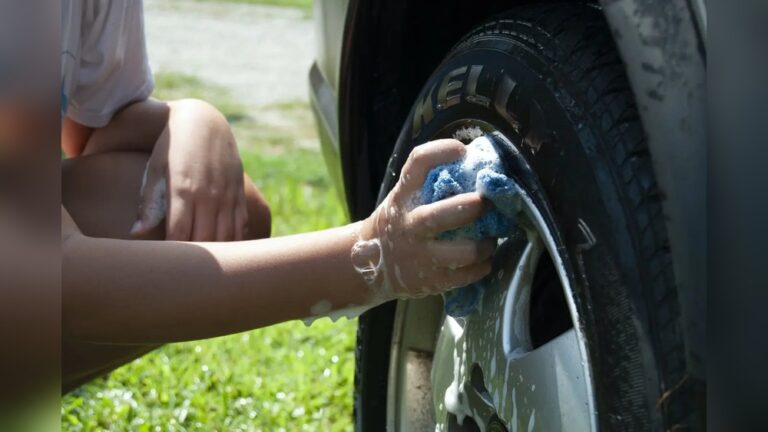 What is a Good Substitute for Car Wash Soap