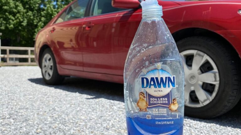 What Kind of Soap to Wash Car