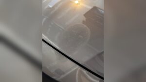 Why Your Ceramic Coated Car Still Has Water Spots (And How to Fix It)