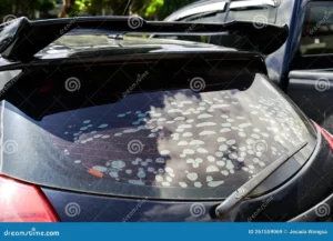 ammonia free glass cleaner for cars