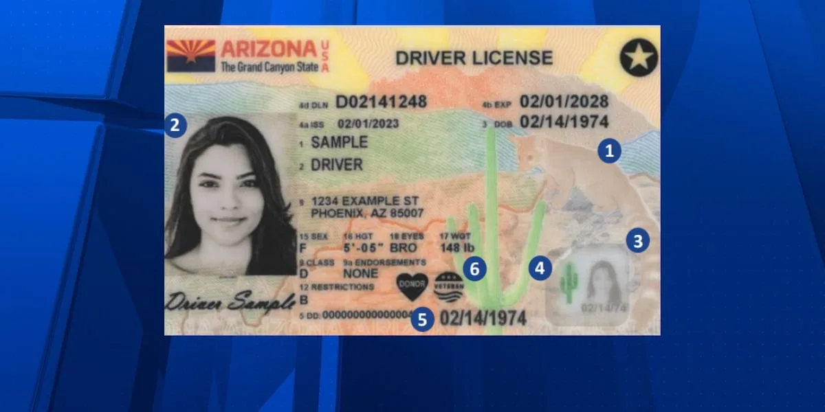 Arizona driver license front and back