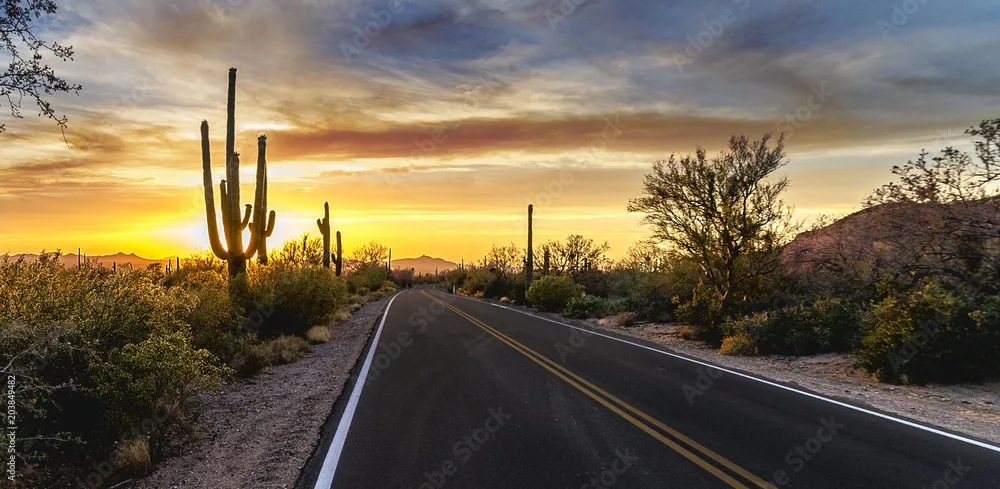 Arizona rural highway night driving