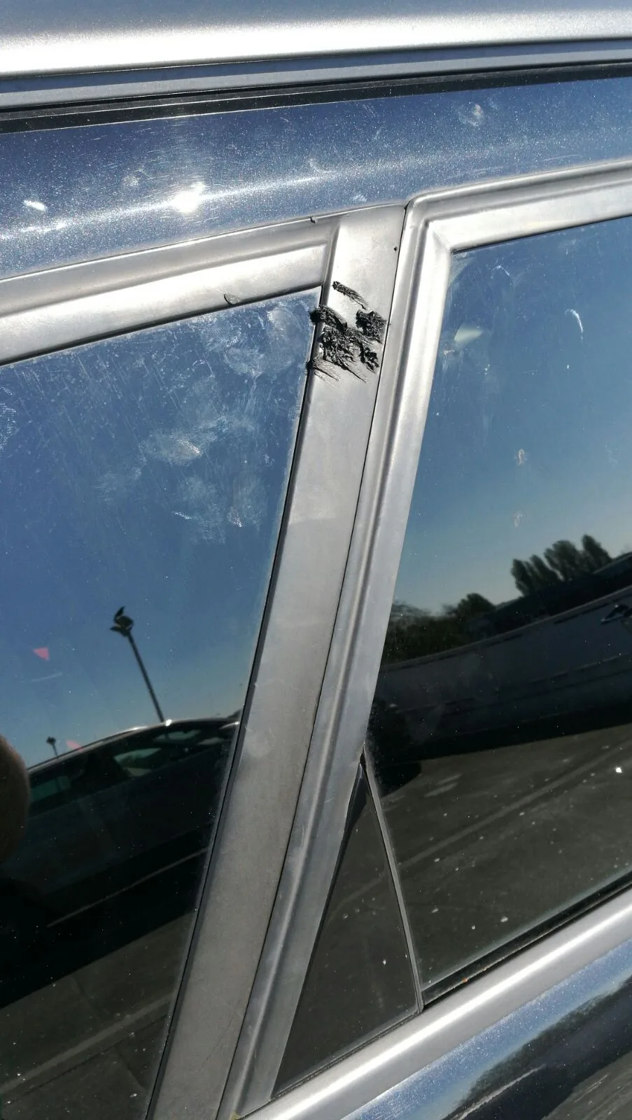 broken window seal