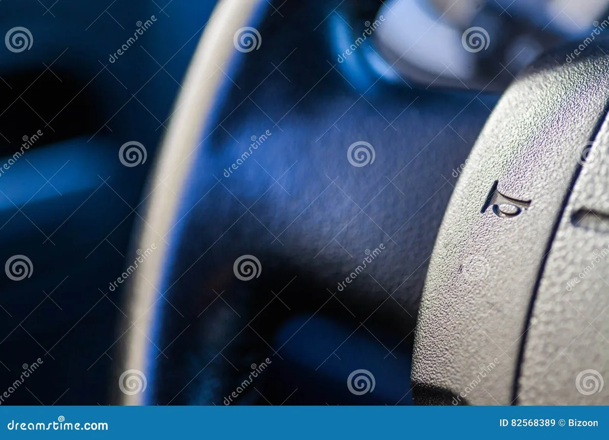 car horn button close up
