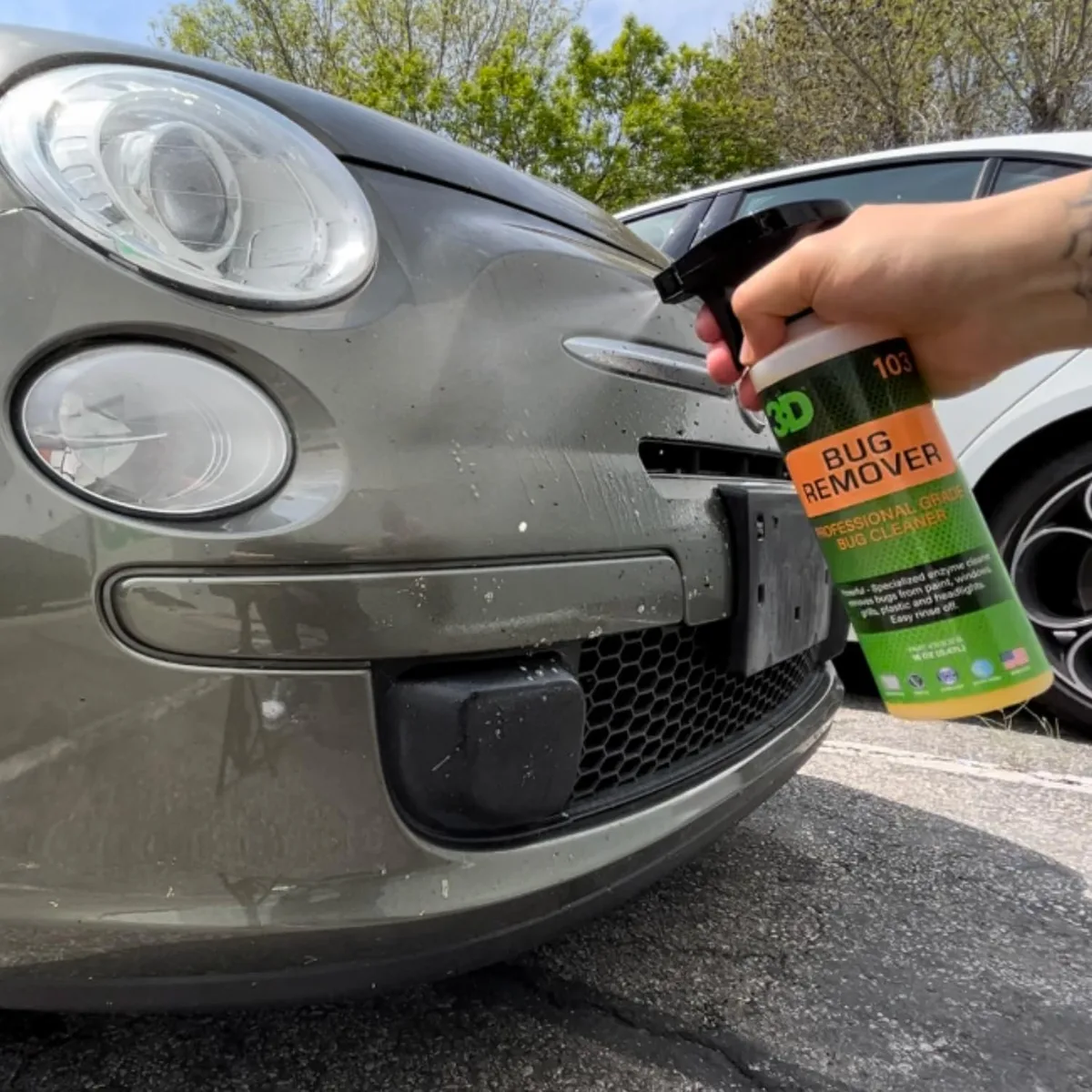 carwash professional bug remover