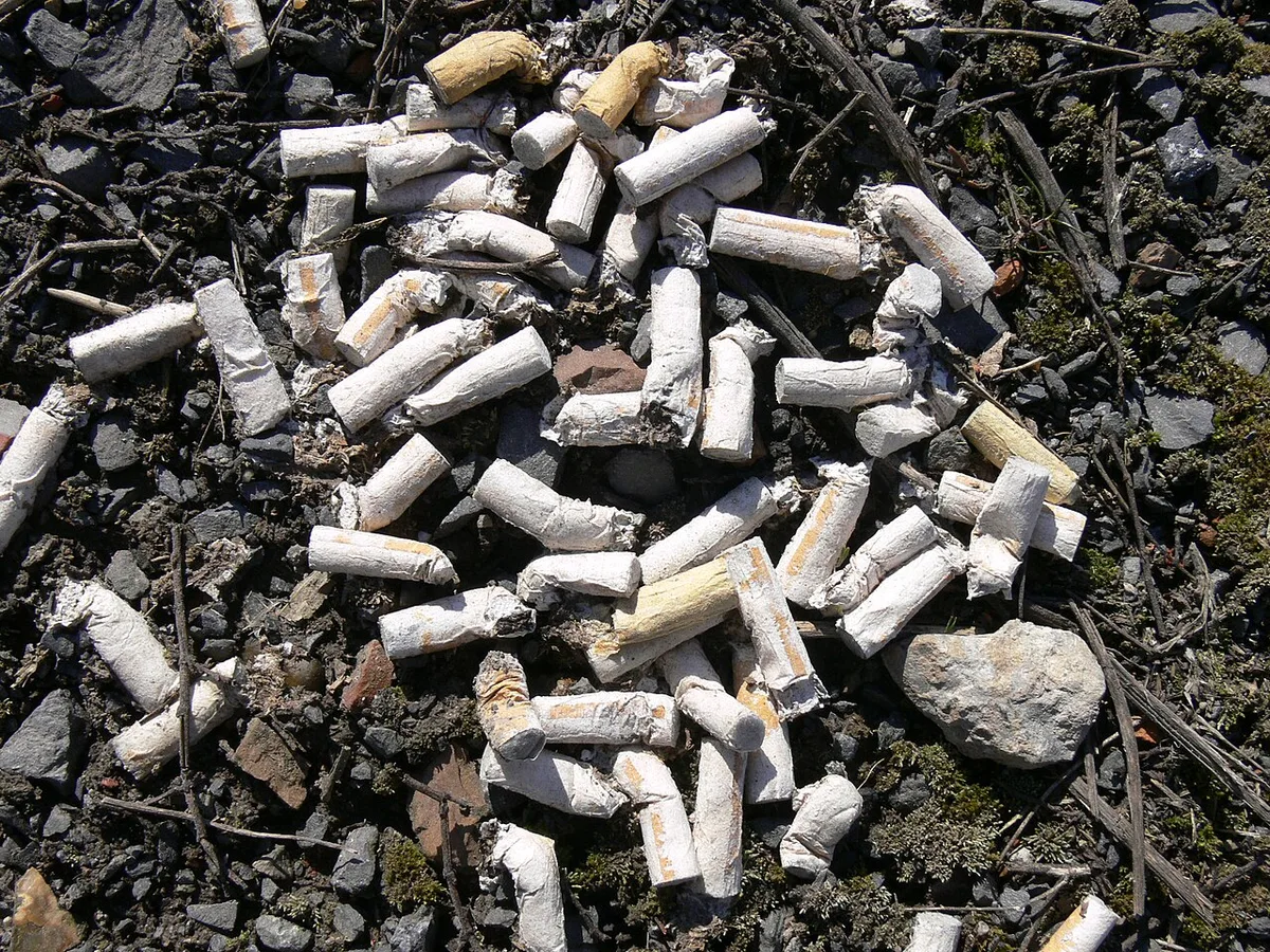cigarette butt littering vehicle