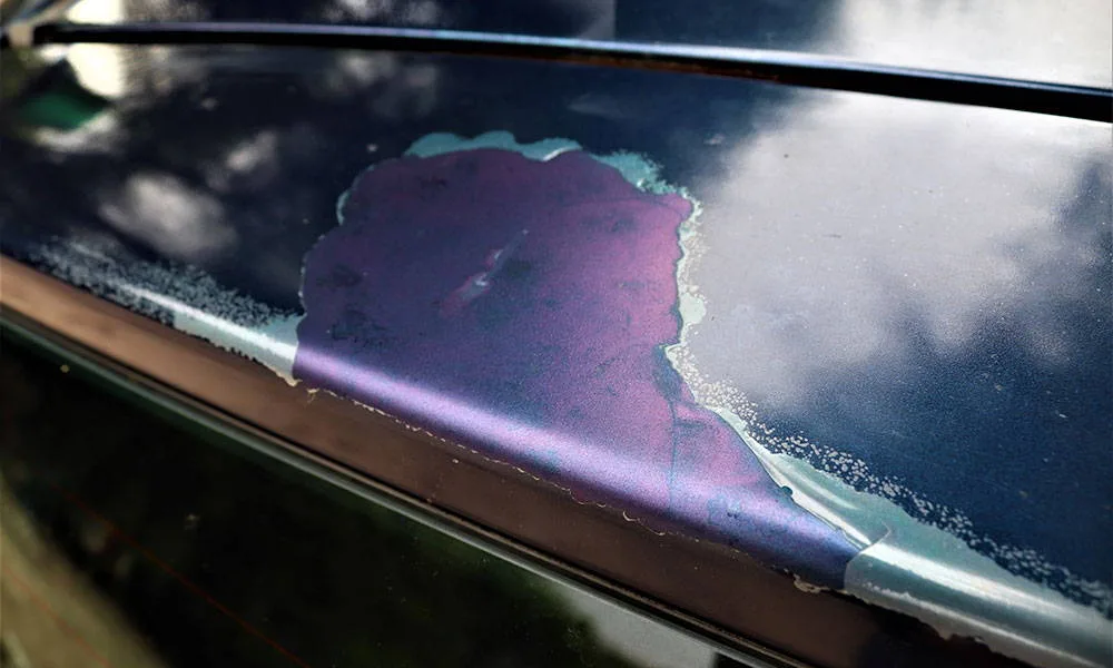 clear coat damage