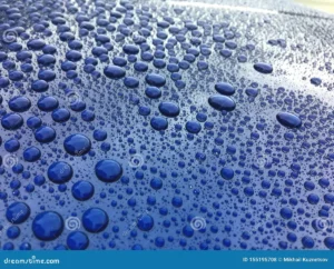 dish soap vs car paint
