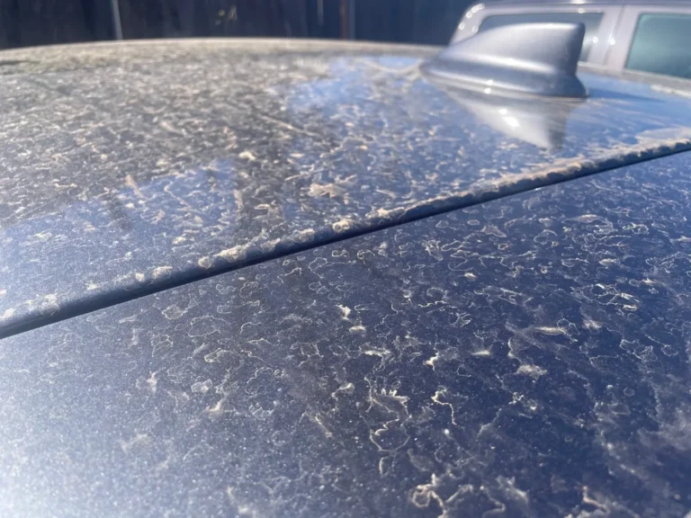 dust and dirt on a car