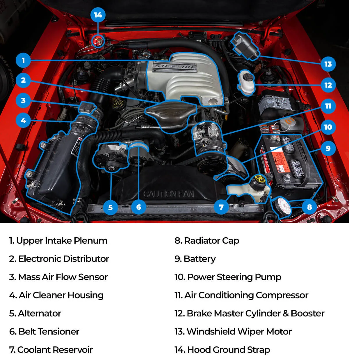 engine bay vulnerable parts