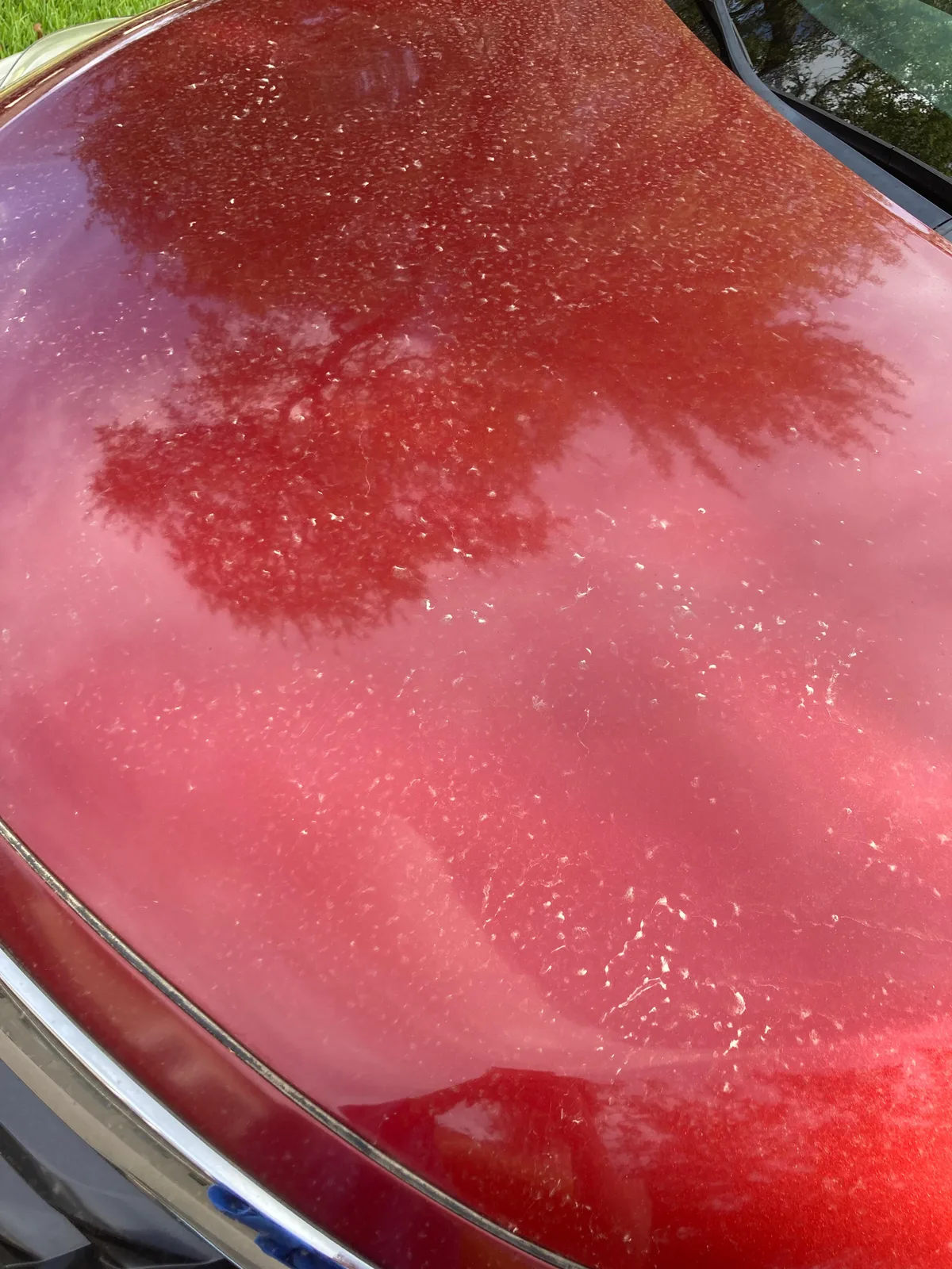 hard water spots car paint