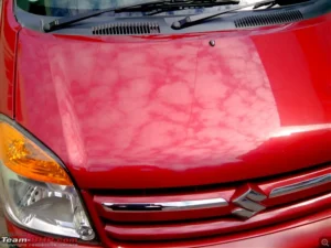 how to get less dandrufg on my car