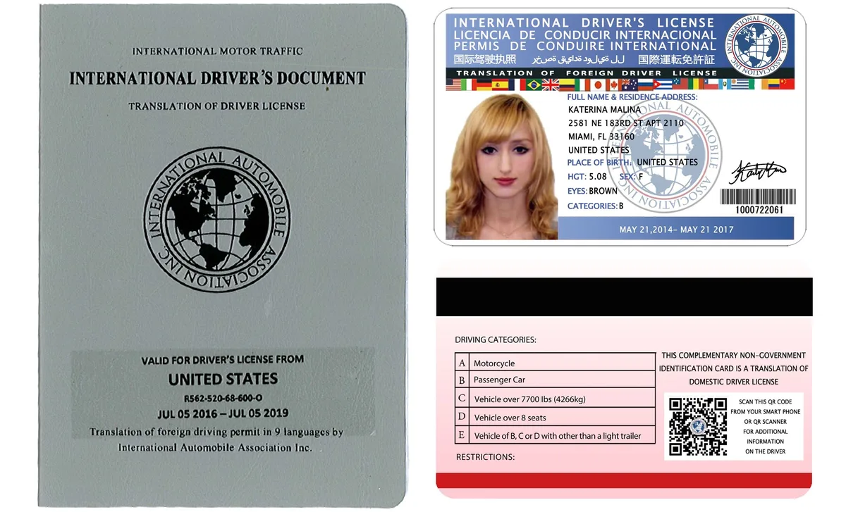 International Driving Permit document