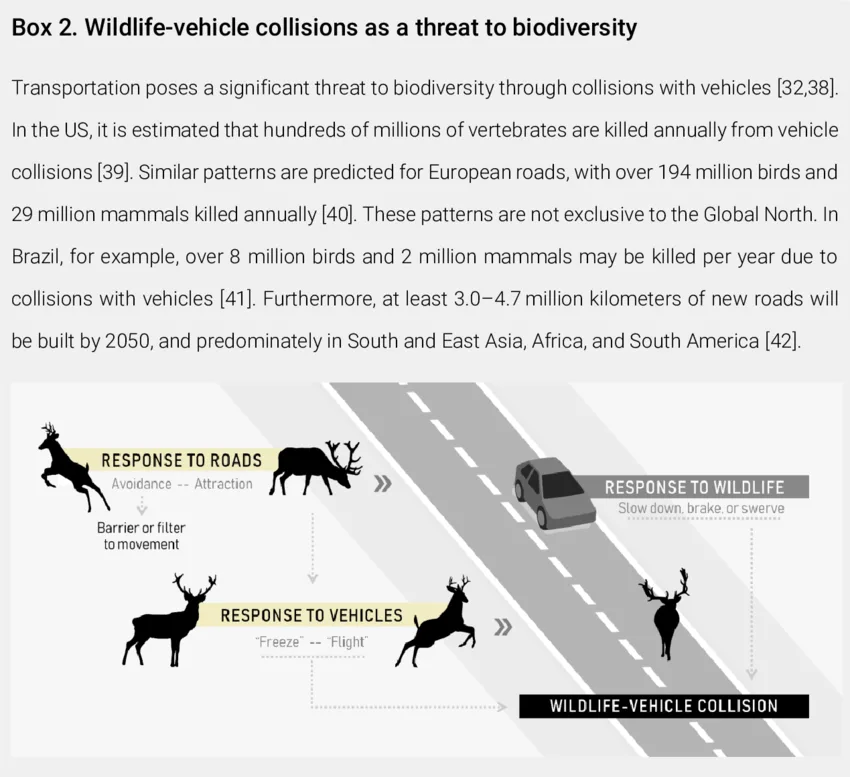 moose collision decision flowchart