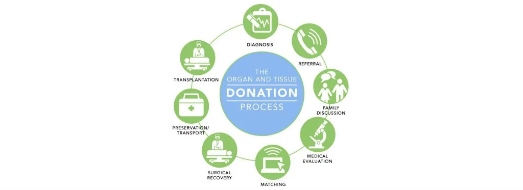 organ donation first person authorization diagram