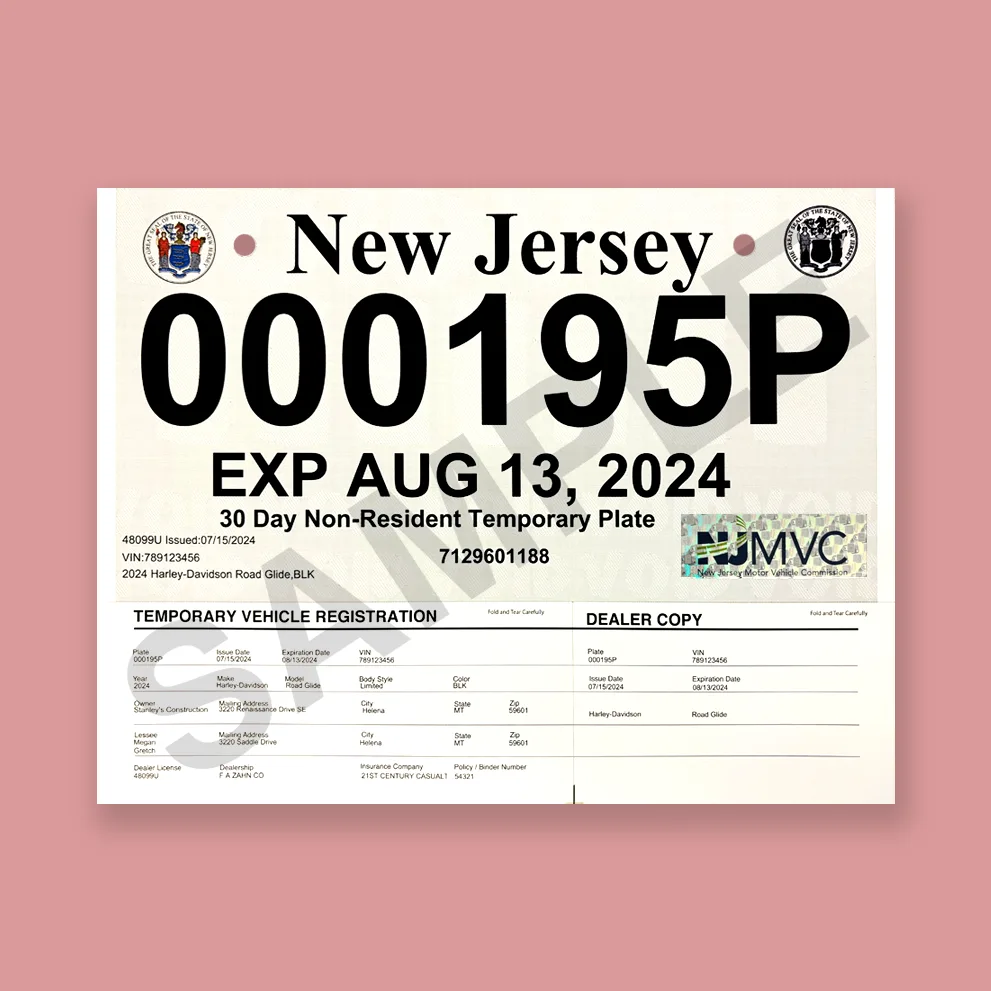 temporary paper license plate