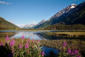Unlawful Obstruction of Scenic Highways