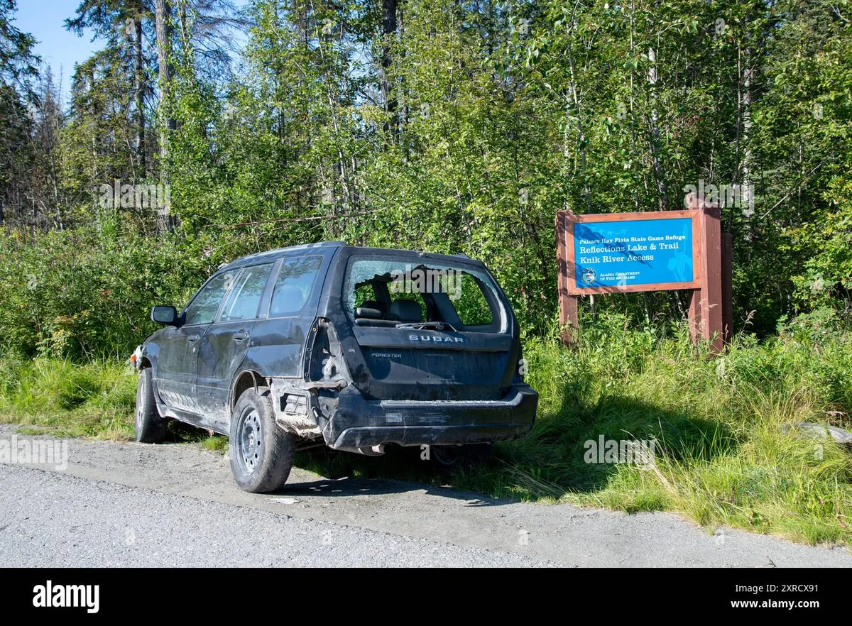 Vehicle Abandonment Penalties in the Bush
