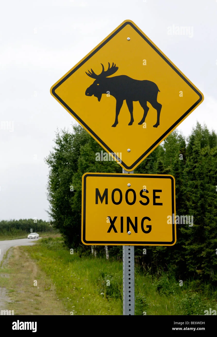 wildlife crossing warning signs