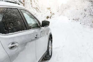 Window Tinting for Low-Light Seasons