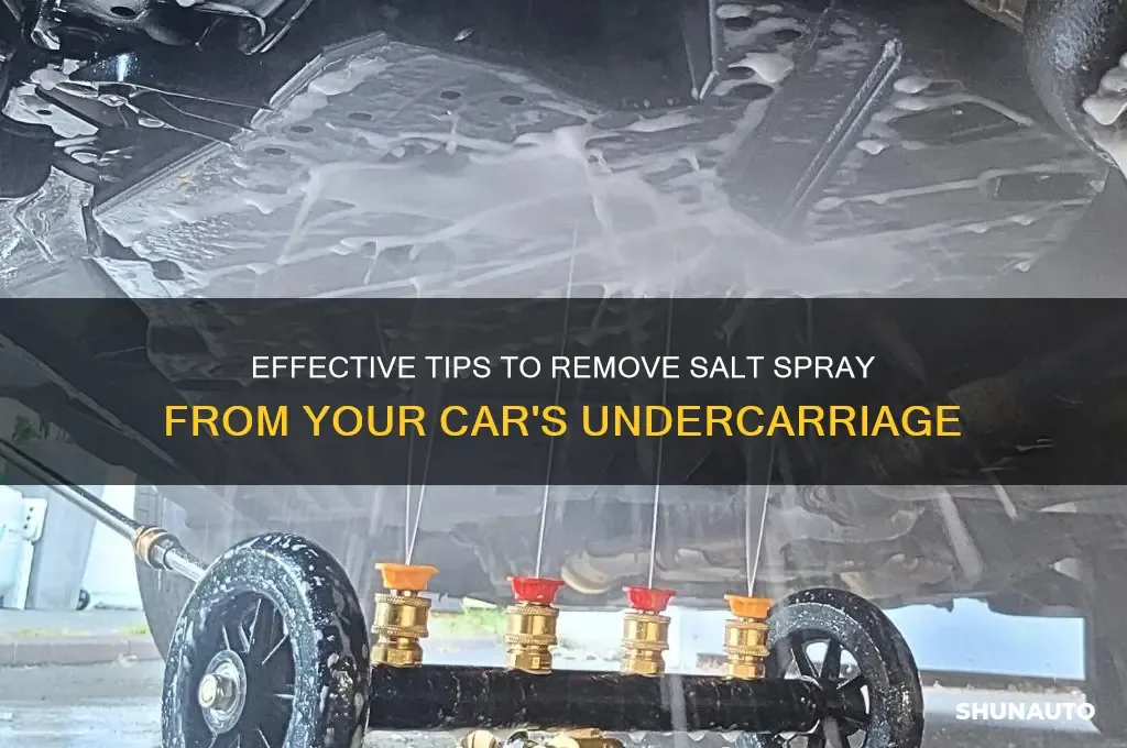 winter car wash
