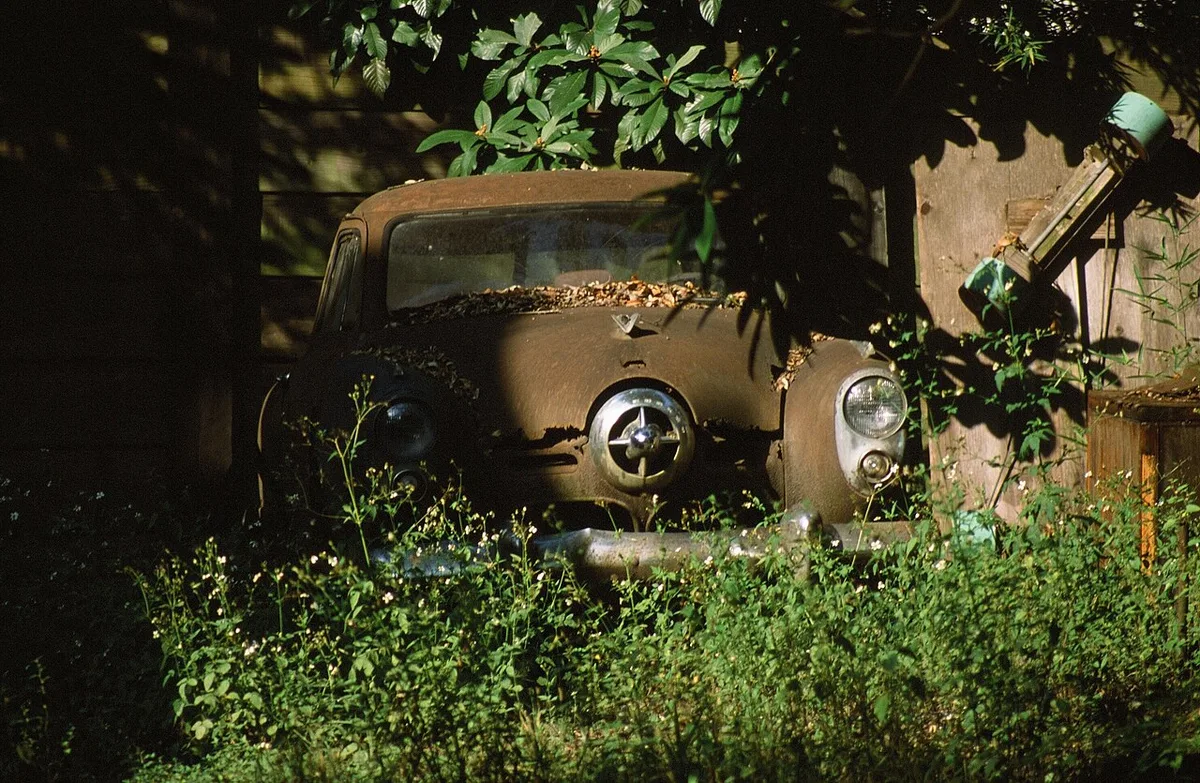 abandoned car on Louisiana street
