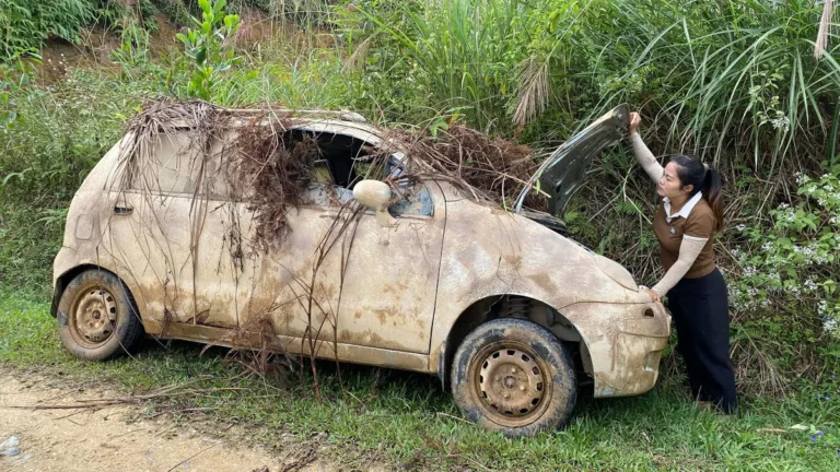 abandoned car on street in Nova Scotia