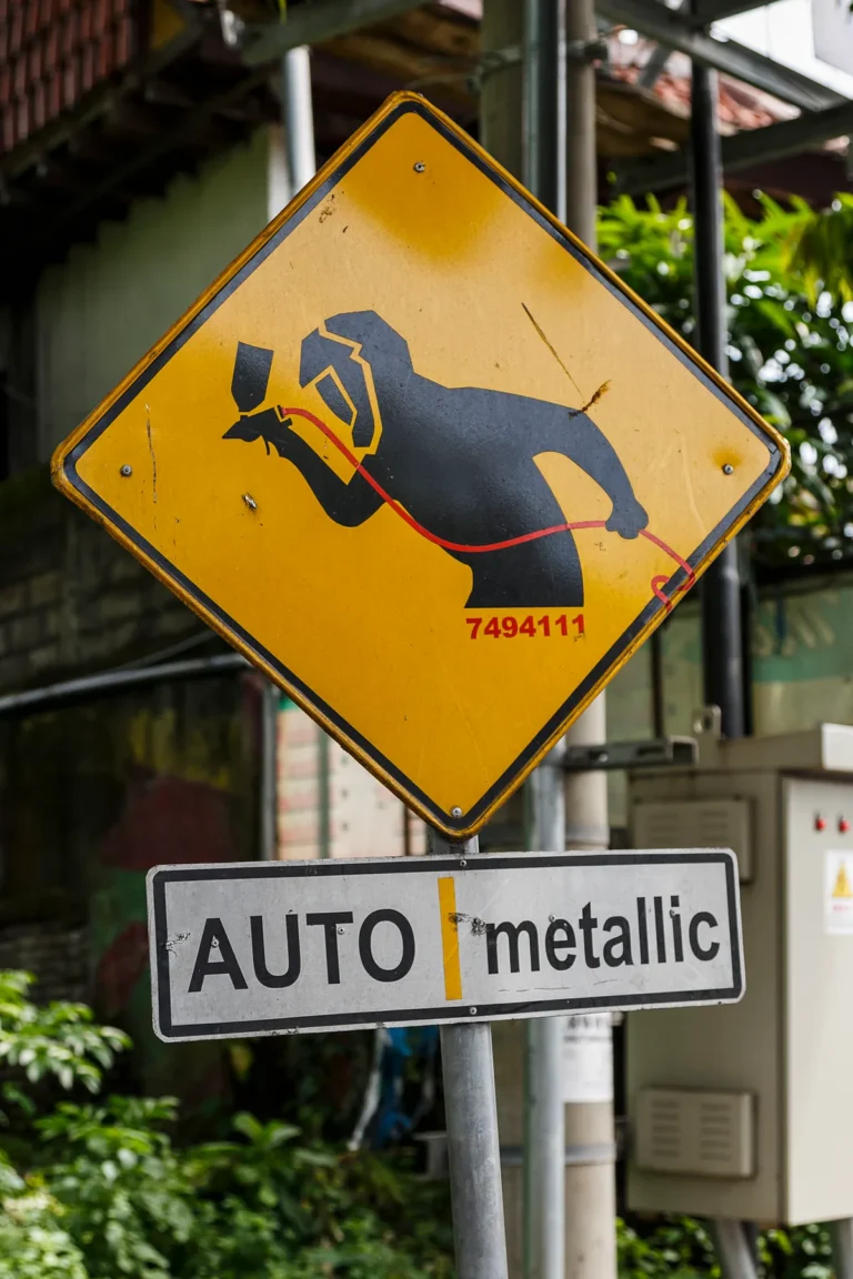 best car wash for metallic paint