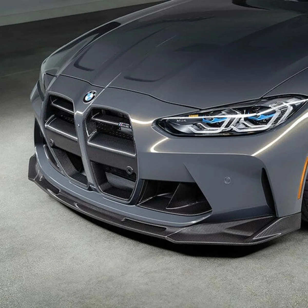 BMW kidney grille