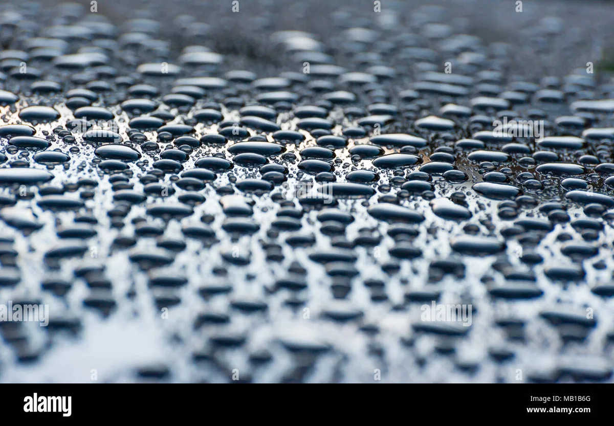 car wax protection rain