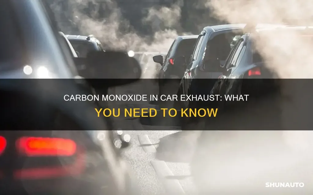carbon monoxide car exhaust winter