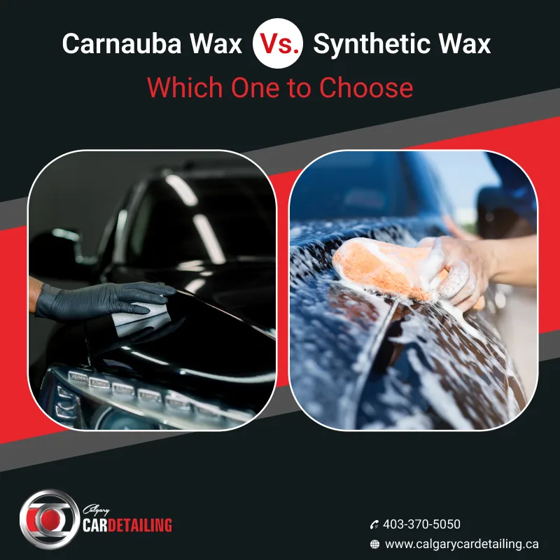 carnauba vs synthetic wax
