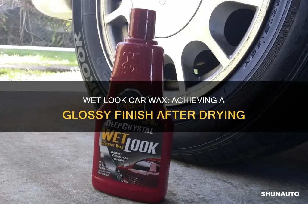 clean car finish wet look