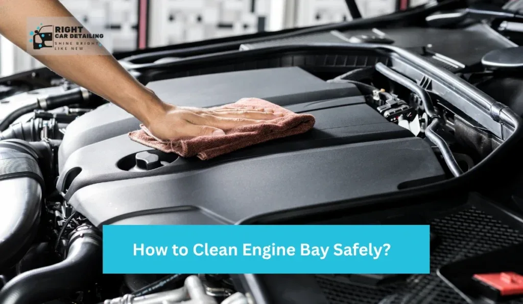 clean shiny engine bay