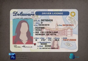 Delaware driver license front and back