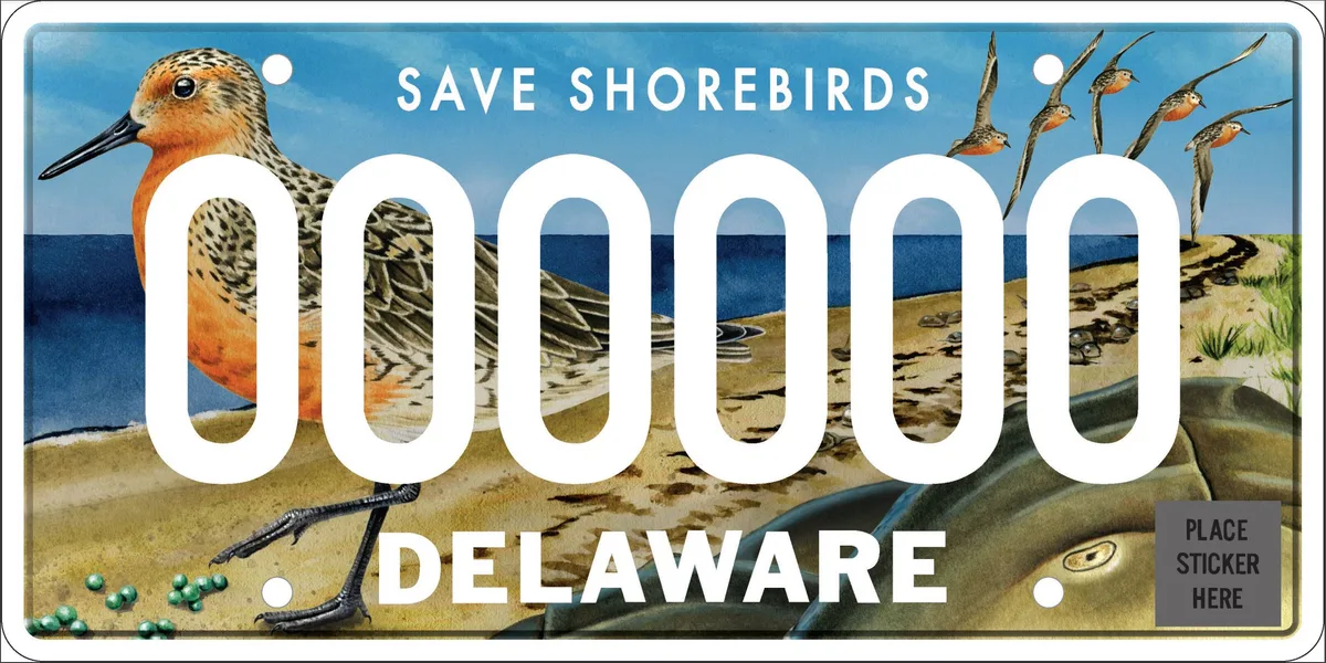 Delaware specialty plate design options