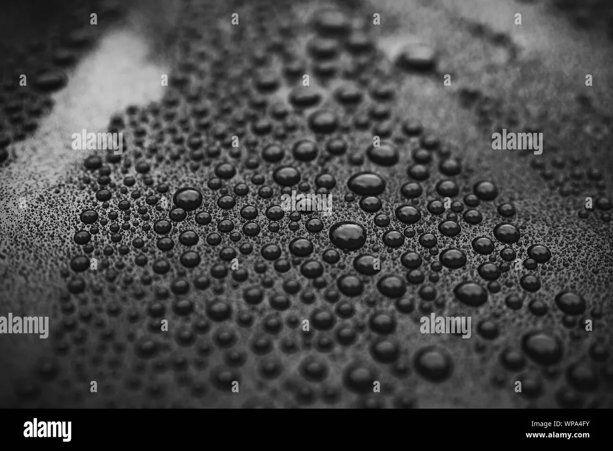 dust on black car paint