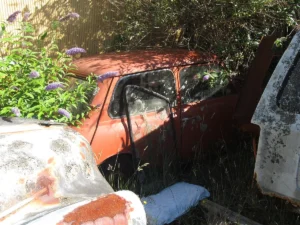 Florida abandoned vehicle removal process on private and public property
