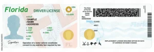 Florida driver license card