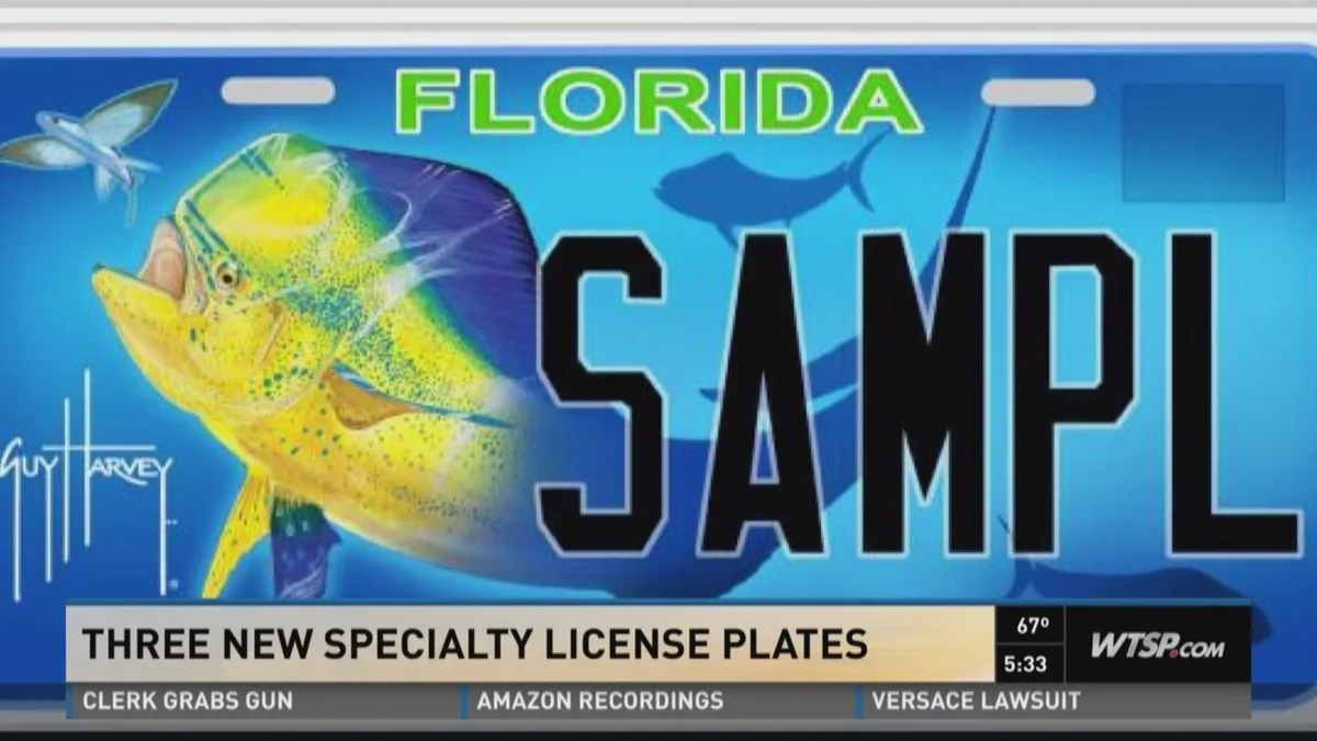 Florida license plate character restrictions