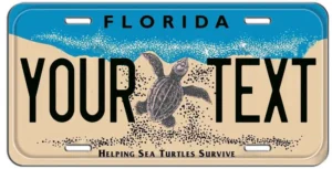 Florida personalized license plate example