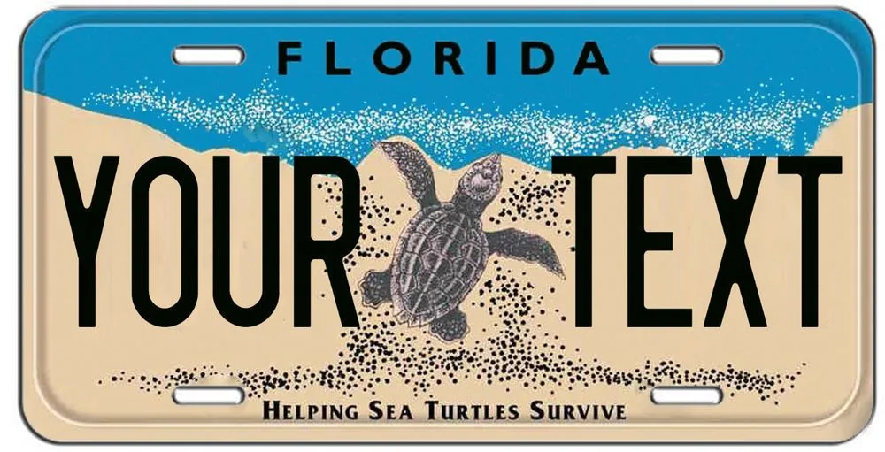 Florida personalized license plate example