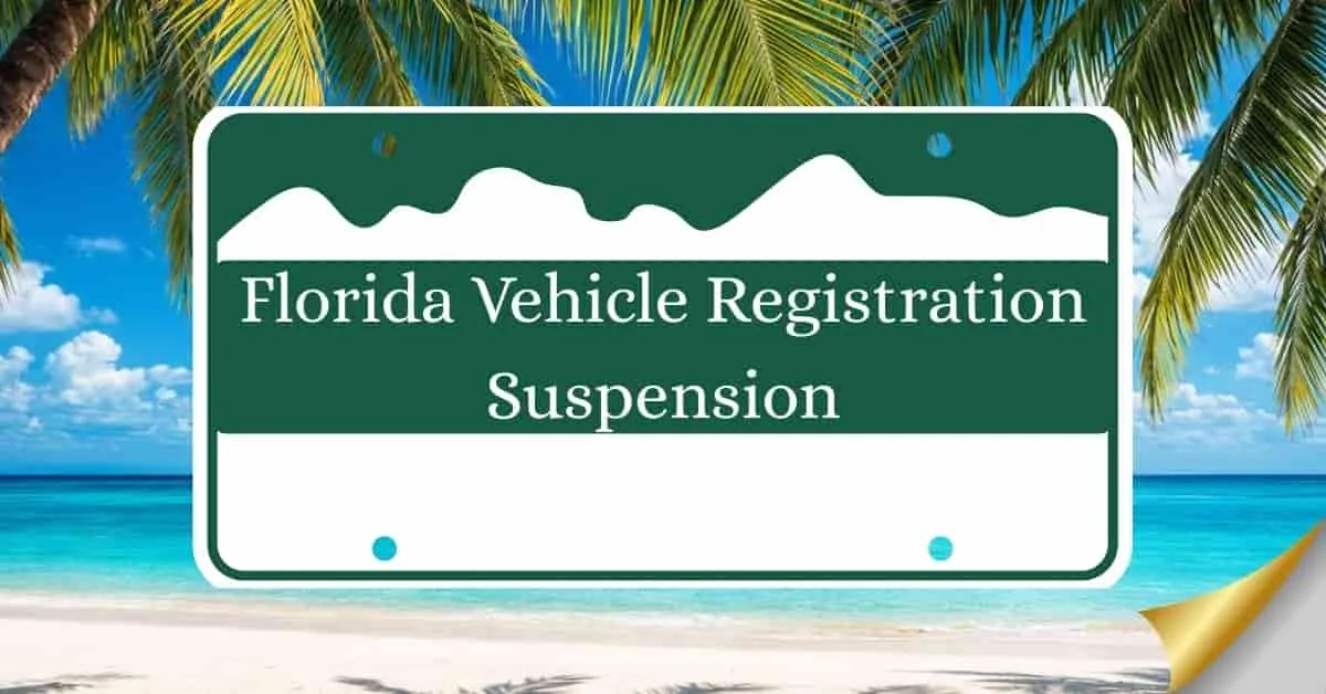 Florida registration suspension notice