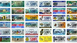 Florida specialty license plate examples