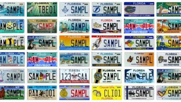 Florida specialty license plate examples