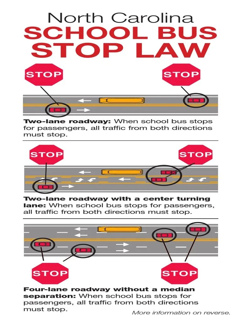 Florida Statute 316.172 school bus stopping diagram
