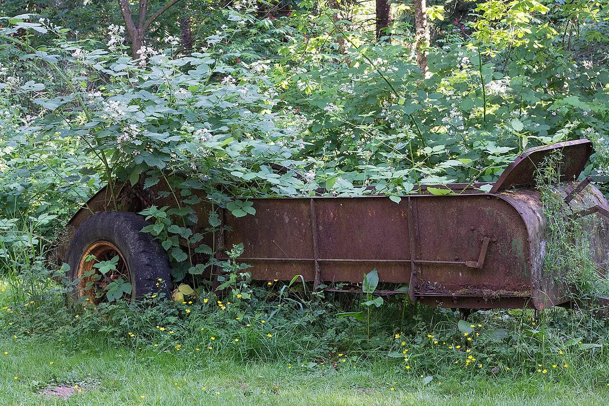 Georgia abandoned vehicle removal process on private and public property