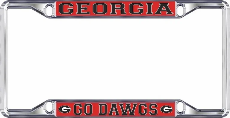 Georgia license plate frame law and county name visibility requirements