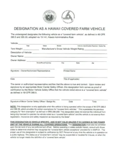 Hawaii 30-day temporary vehicle permit